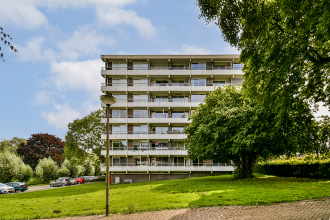 Hoofdfoto